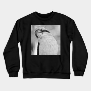 Kookaburra looking at You! Crewneck Sweatshirt